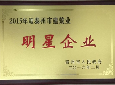 2015年度泰州市建筑業(yè)明星企業(yè)